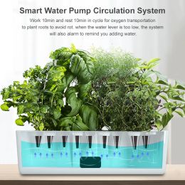 Control Hydroponics Growing System Indoor Herb Garden Kit Automatic Timing Height Adjustable LED Grow Lights Smart Water Pump for Home