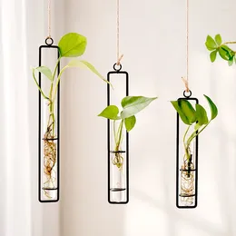 Vases Clear Test Tubes Glass Vase Wall Hanging Hydroponic Flower Plant Container Rope Pendant For Home Living Room Decor
