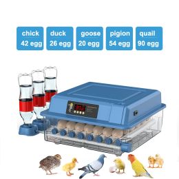 Accessories Upgrade Brooder 42 Eggs Incubator Fully Automatic Turning Hatching Brooder Farm Bird Quail Chicken Poultry Farm Hatcher Tool