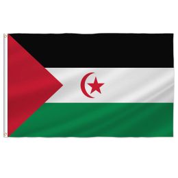 Accessories PTEROSAUR Western Sahara Flag, 60x90cm 90x150cm Western National Flag with Brass Grommets for Room Indoor Outdoor Decor Banner