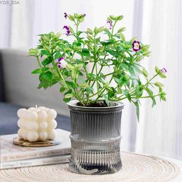 Planters Pots Fresh Colour Self Watering Planters Visible Large Capacity Flower Pots Living Room Bedroom Study Garden Planters Flower Pot Vase 240325