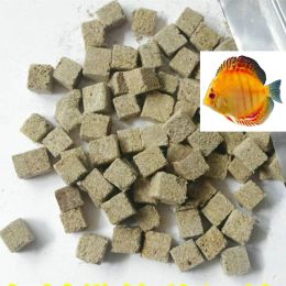 Supplies Dried Red Worm Cube Aquarium Fish Tool