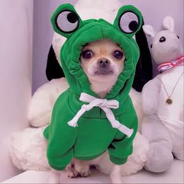 Adorable Green Frog Dog Sweater All season Comfort for All Sizes Hine Washable Stylish