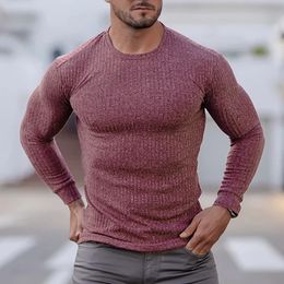 Spring Knitted Sports Long sleeved Mens Slim Fit Round Neck Running T-shirt Men Autumn Casual Gym Training Bodybuilding Tees 240313