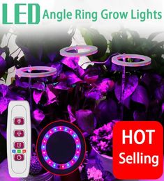 FullSpectrum LED Grow Lights USB5v Lead Round Angel Ring Succulent Fill Lamp Dimmable Indoor Lighting AntiSplendid Coloring Gre3659161