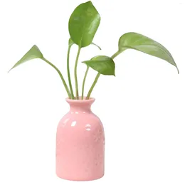 Vases Desktop Hydroponic Vase Home Ornaments Plant Propagation Terrarium For Living Room Bedroom Study