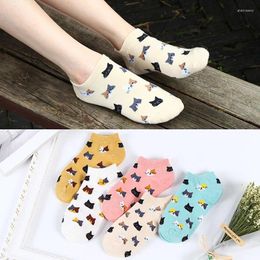 Women Socks Qisin 5Pairs Fashion Colourful Kawaii Cute Cotton Harajuku Korean Girl Spring Summer Cartoon Cats