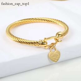 Tiffancy Bracelet New Designer Titanium Steel Bangle Cable Wire Gold Colour Love Heart Charm Bangle Bracelet with Hook Closure for Women Men Wedding Jewellery Gift 5684