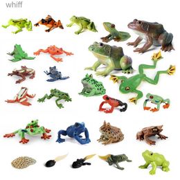 Action Toy Figures Realistic Colour Rainforest Animal Frog Character Picture Tree Frog Tapol Growth Cycle Model Education Collection ToyC24325