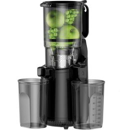 Amumu 250W Cold Press Juicer, 5.3 Inch (approximately 13.5 Cm) Feed Chute, Suitable for All Fruits/vegetables, Self Feeding, Easy to Clean, BPA Free