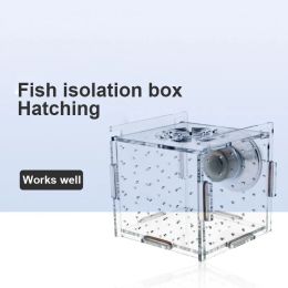 Tanks 1pc 5Sizes Fish Tank Aquarium Transparent Incubator Breeding Box Single Double Grid Isolation Box Aquatic Pet Breeding Container