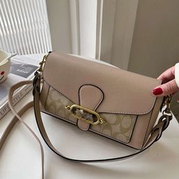 the Store Exports Designer Bags Wholesale Underarm Bag French Light Luxury Printed Small New Korean Version Minimalist Style Shoulder Cross Body Trend