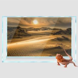 Decor Reptile Habitat Background Sun Desert 3D HD Printing Wallpaper Fish Tank Aquarium Background Decorations PVC Landscape Poster