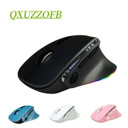 Mice New Dual Wireless Mouse 2.4G Bluetooth RGB Typec Rechargeable Vertical Mouse For Tablets iPads Laptops Computer Accessories
