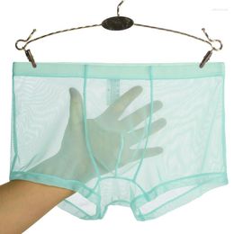 Unterhosen Undrewear Sexy Ultradünne Transparente Mesh Atmungsaktive männer Boxer Briefs Männliche Boxershorts Homme Höschen Shorts