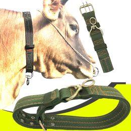 Carriers 1PCS Dog Cattle Sheep Goat Donkey Horse Cow Collar Canvas Belt Strong Durable Necklace Belay Tie Veterinary Equipment