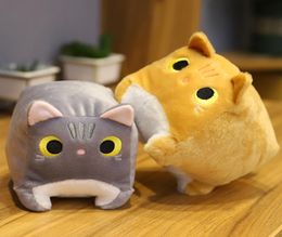 The explosive animal square cat doll plush toy kitten 8inch gripper doll Suitable for children over 14 years old to play soft and8284269