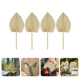 Decorative Flowers 4 Pcs Palm Leaf Decoration Ornament Wedding Layout Wall Hanging Dry Wooden Plant Dried Fan Flower Adornment