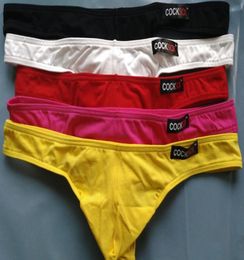 Mens Sexy Triangle trousers Underwear Briefs Cocksox G String Male Panties U Convex Men Thongs4203755