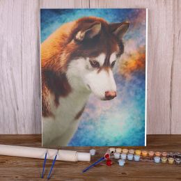 Number Animal Dog Husky Painting By Numbers Set Acrylic Paints 40*50 Oil Painting Decoration For Adults Art