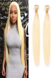 Brazilian Virgin Hair Extensions 613 Blonde Straight Peruvian Malaysian Indian Raw Human Hair Weaves Two Bundles 613 Color 2 Piec6839464