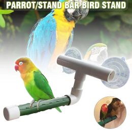 Toys 1pc Bird Perch Grinding Stand Pet Perch Foldable Suction Cup Shower Wall Stand Toys For Pet Supplies