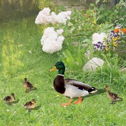 Garden Decorations Eco-friendly Acrylic Duck Stakes Realistic Cute Duckling Easy Installation Yards Art