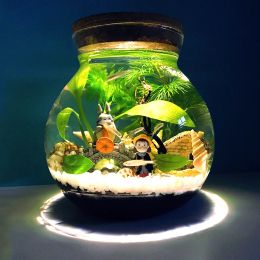 Tanks Portable Ecological Bottle Micro Landscape Aquarium Landscape Bucket Fish Tank Office Desktop Glass Ecological Bottle Fish Tank