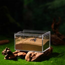 Terrariums Mini Terrarium Container Acrylic Crawling Pet Box Spider Scorpion Feeding Breeding Tank Portable Reptile Habitat Transparent