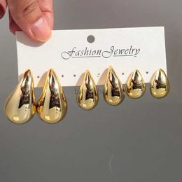 Hoop Huggie 3 pairs of fashionable acrylic gold short and chubby Dupes womens pendant earrings with personalized luster and tear drop jewelry 240326