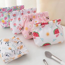 Storage Bags Cosmetics Coin Wire Holder Pouch Bag Portable Earphone Cards Lipsticks Auto Close Organiser Travel Jewellery