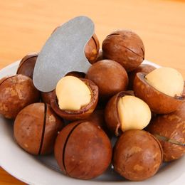 Mini Nut Crackers Stainless Steel Macadamia Walnut Opener Portable Camping Kitchen Accessories Nut Tools