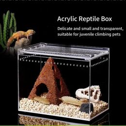 Terrariums Transparent Acrylic Reptile Breeding Box Spider Lizard Amphibian Terrarium Leakproof Pet Habitat Arboreal Tarantula Enclosure