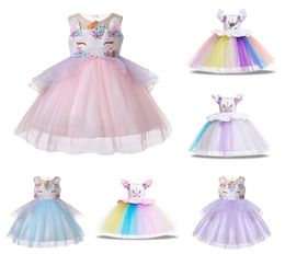 Baby girls dress children TUTU lace Tulle princess dresses cartoon summer Boutique kids Clothes 6 colors C40229561233