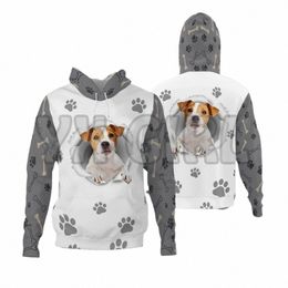 jack Russell Terrier-Paw Dog 3D Printed Hoodies Unisex Pullovers Funny Dog Hoodie Casual Street Tracksuit 46G6#