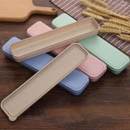 Flatware Sets 21/24cm PP Portable Travel Tableware Storage Box Case Grade Dinnerware Kitchen Fork Spoon For Kid School Cutlery