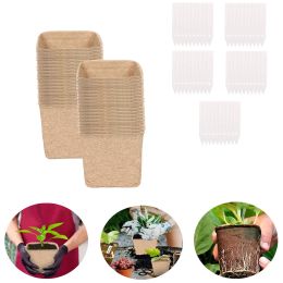 Planters Gardening Sprouting Seedling Trays Seedling Cups Seed Peat Gardening Seedling Cup Environmental Pulp Molded Flower Pot