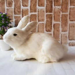 Sculptures Simulated Rabbit Specimen Real Fur Birthday Gift Craft Gift Jewelry Home Decor Living Room Decoration Figurine