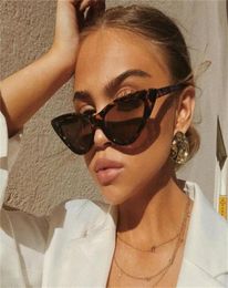 2021 fashion sunglass woman brand Digner vintage retro triangular cat eye glass f De Sol Transparent ocean uv4003314572