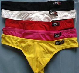 Mens Sexy Triangle trousers Underwear Briefs Cocksox G String Male Panties U Convex Men Thongs8924906