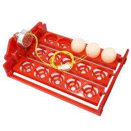 Accessories 15 Eggs Automatically Incubator Turn Eggs Tray 220V/110V/12V Motor Chicken Birds Eggs Hatching Equipment Poultry Incubator