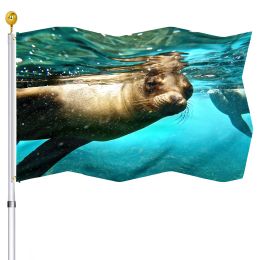 Accessories Cute Sea Lion Flag Ocean Water Wildlife Seal Double Stitched Animal Flags with Brass Grommets Indoor Porch Outdoor House Decor