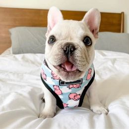 Harnesses Pink Pig Small Dog Harness With Pull Dog Vest Harnesses For Medium Small Dogs Harness Leash Set Pets Puppy French Bulldog Pug