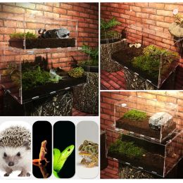 Terrariums Acrylic Reptile Breeding Box Transparent Spider Lizard Scorpion Enti's Acrylic Assembled Insect Breathable Terrarium Pet Box