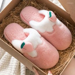 Slippers Apanzu Women Winter Warm Plush Indoor Cartoon Comfortable Soft Bottom Home Shoes House