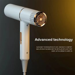 Hair Dryer Infrared Negative Ionic Blow Dryer Cold Wind Professional Salon Hair Styler Tool Hair Electric Blow Drier Blower 240312