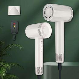 High Speed Hair Dryer, Electric Blow Dryer Fast Drying, Suitable for Barber Salon Home Use