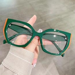 Sunglasses Large Frame Polygonal Flat Glasses Minimalist Anti Blue Light Women's Style Radiation Resistant