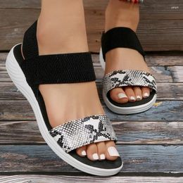 Dress Shoes Summer Women 2024 Fashion Snake Pattern Sandals Casual Elastic Band Flat Beach Ladies Wedges Platform Footwear