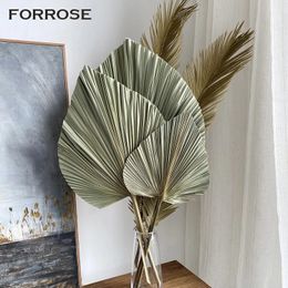 3PCS Large Dried Palm Leaves Natural Flowers Trimmed Palm Leaves Fall Decoration Party Art Wall Hanging Boho Wedding Decor 240321